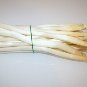 Asparagus