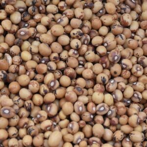 Brown Beans